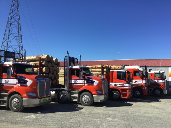 Fleet of orange logging trucks signwritten with company branding